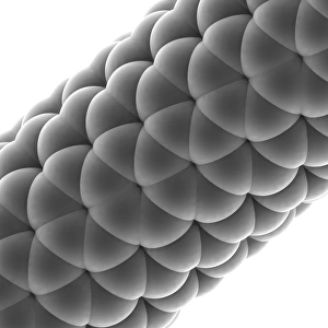 Nanotechnology Gallery: Carbon nanotube F007 / 9910