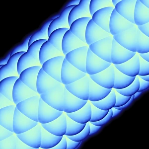 Nanotechnology Gallery: Carbon nanotube F007 / 9915