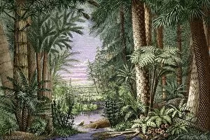 Images Dated 4th May 2005: Carboniferous landscape
