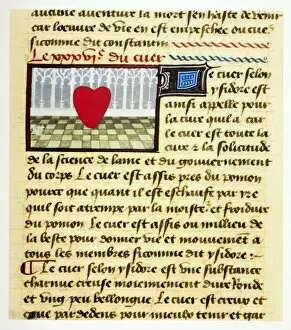 French Language Gallery: Cardiac treatise, 15th century