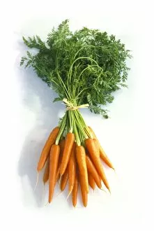 Carrots (Daucus carota) C014 / 1149