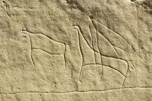 Carved petroglyph, Canada