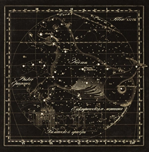 Cetus constellations, 1829 C016/4414 Cetus constellations, 1829 C016/4414
