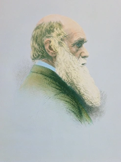 Images Dated 11th February 1991: Charles Darwin