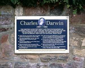 Charles Darwin commemorative plaque Charles Darwin commemorative plaque