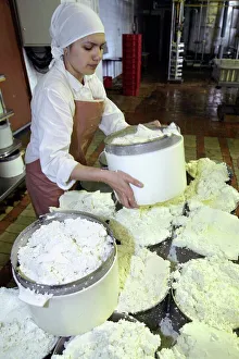 Processing Gallery: Cheese production, mould filling
