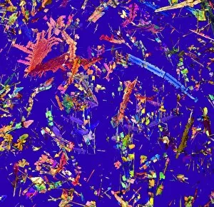 Polarised Light Micrograph Collection: Chemical crystals, polarised LM C017 / 8472