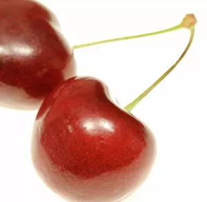 Two cherries on stalks