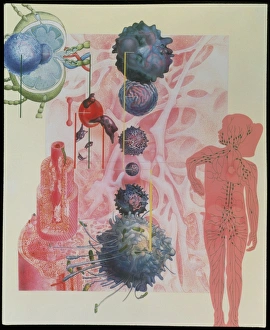 Stem Cell Gallery: Collage artwork of cells of the immune system
