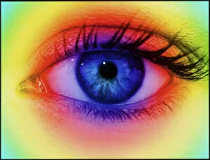 Images Dated 27th April 1995: Colour vision: spectrum of light and human eye