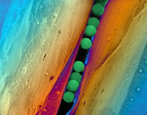 Coloured SEM of DNA security beads on a diamond Coloured SEM of DNA security beads on a diamond
