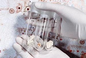 Images Dated 22nd July 2005: Columbus family tissue samples