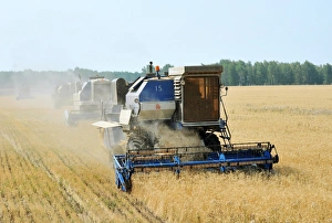 Combine harvesters in a wheat field C015/5901 Combine harvesters in a wheat field C015/5901