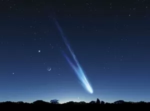Sun Lit Gallery: Comet in the night sky, artwork