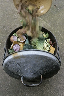 Environmentally Friendly Practices Prints: Composting
