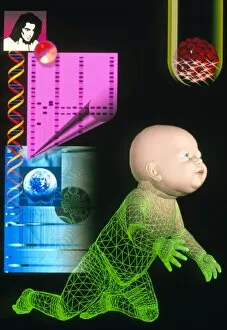 Images Dated 15th January 2003: Computer artwork depicting genetic screening