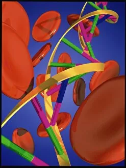 Images Dated 17th March 1997: Computer artwork of DNA and red blood cells