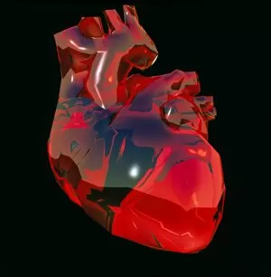 Images Dated 23rd September 2002: Computer artwork of human heart, abstract colours
