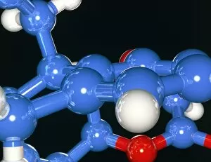 Images Dated 13th August 1998: Computer artwork of part of a molecule