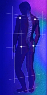 Computer illustratoion of a healthy human spine Computer illustratoion of a healthy human spine