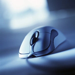 Computer mouse Computer mouse