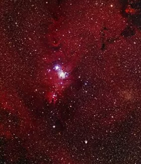 Images Dated 8th March 2002: Cone Nebula