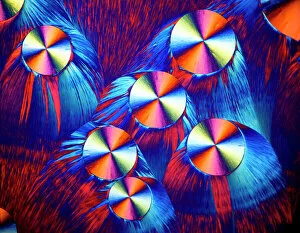 Light Micrograph Gallery: Copper sulphate crystals, LM