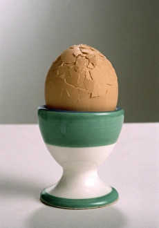 Images Dated 17th January 2005: Cracked boiled egg