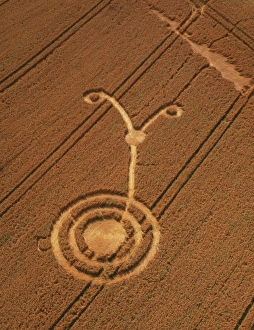 Crop formation, Cheesefoot, Hampshire Crop formation, Cheesefoot, Hampshire