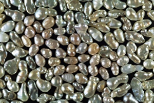 Cultured freshwater pearls Cultured freshwater pearls