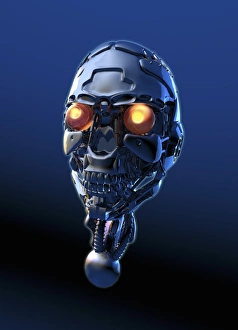 Cybernetic Gallery: Cyborg, artwork F006 / 3617