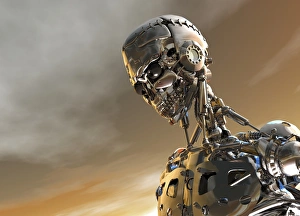 Cybernetic Gallery: Cyborg, artwork F006 / 3621
