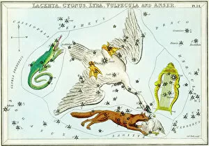 Cygnus and Lyra constellations