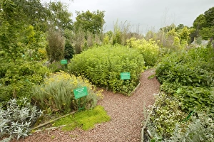 Dilston Physic Garden, Northumberland, UK Dilston Physic Garden, Northumberland, UK