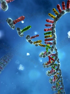 DNA assembly, artwork DNA assembly, artwork