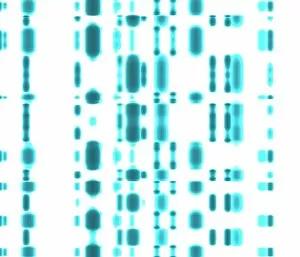 DNA Collection: DNA autoradiogram, artwork