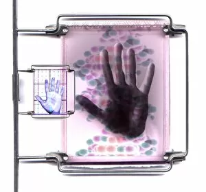Images Dated 16th October 2001: DNA fingerprinting