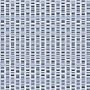 DNA sequences DNA sequences