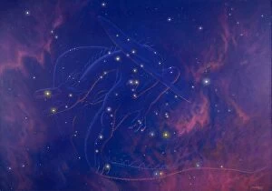 Northern Gallery: Draco constellation
