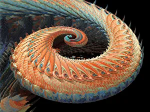 Computer Artwork Gallery: Dragon tail fractal
