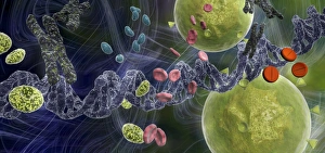 Drug effect on viruses, conceptual image C016/6253 Drug effect on viruses, conceptual image C016/6253