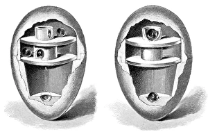 Egg-balancing toy design, 1893 C013/9112 Egg-balancing toy design, 1893 C013/9112