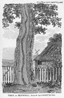 Explosion Gallery: Engraving of a tree split by lightning