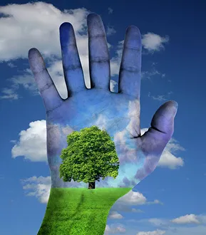 Environmental awareness, conceptual image Environmental awareness, conceptual image