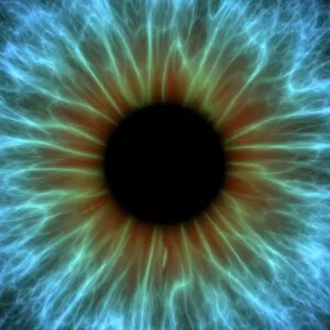 Images Dated 4th April 2011: Eye, iris