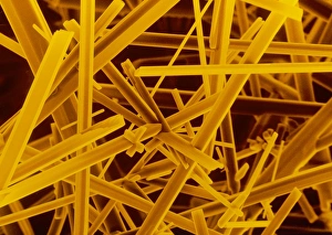 False col. SEM of caffeine crystals x150 False col. SEM of caffeine crystals x150