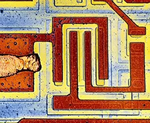Images Dated 29th April 1986: False colour SEM of integrated circuit