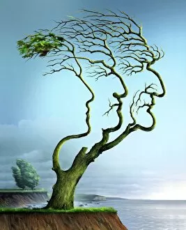 Images Dated 4th June 2010: Family tree, conceptual artwork
