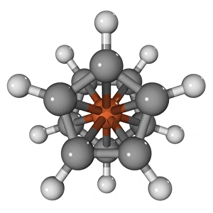 Ferrocene molecule Ferrocene molecule