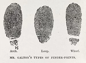 Images Dated 22nd November 2011: Fingerprint types, 17th century